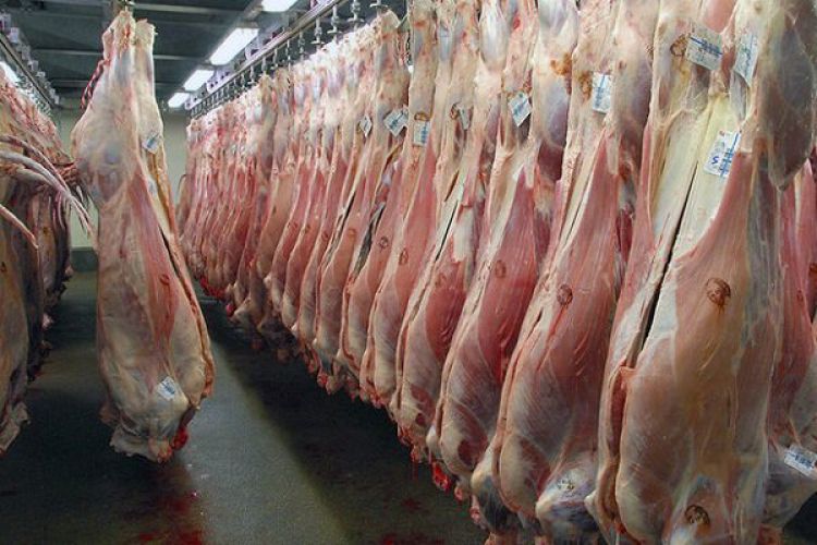  قیمت گوشت در سایه توزیع نامناسب به 150 هزارتومان رسیده است