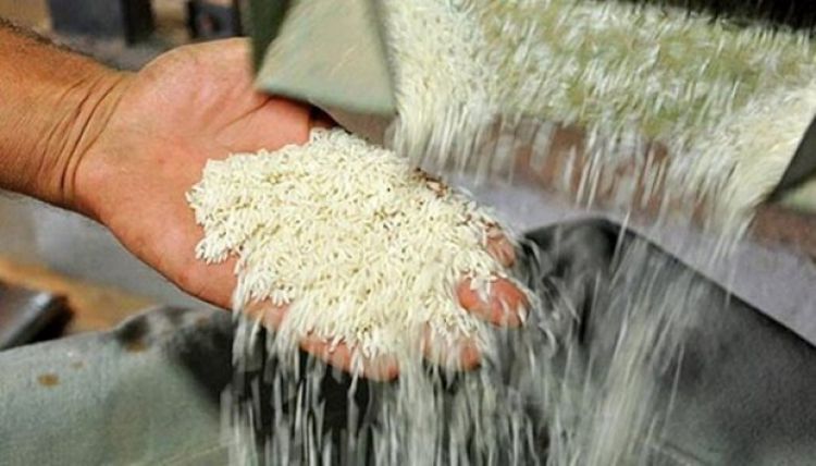 واردات برنج از 15 آذر ازسر گرفته می‌شود/ احتمال توقف افزایش قیمت برنج ایرانی