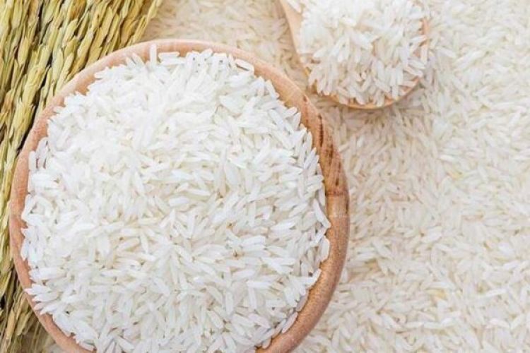 کاهش 40 درصدی تولید برنج، مهم ترین دلیل افزایش قیمت است/ آنها که می‌گفتند مردم نگران نباشند، الان پاسخگو باشند