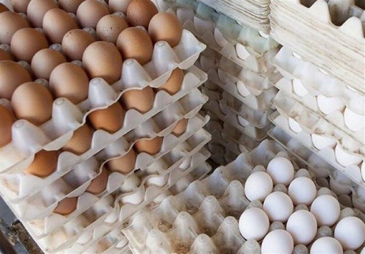 چرا تخم مرغ‌ها کوچک شده‌اند؟/ مرغ‌ها پروتئین کافی نمی‌خورند