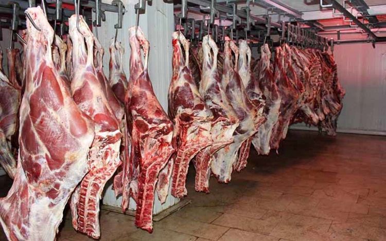 فروش گوشت کیلویی700 هزار تومان سودجویی است/ مناسب بودن عرضه دام در بازار