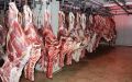 تولید گوشت قرمز در کشور 6 هزار تن افزایش می‌یابد