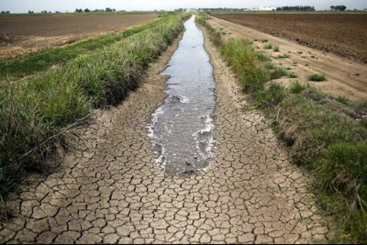102میلیون متر مکعب آب در کشاورزی صرفه جویی شد