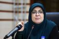 مهاجرانی: تنها 25 درصد کالاهای اساسی توزیعی در دوران جنگ مصرف شدند/ذخایر استراتژیک دست‌نخورده مانده است