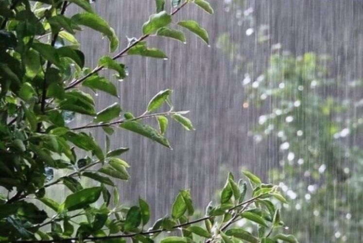 بارش باران و کاهش نسبی دما در 7 استان