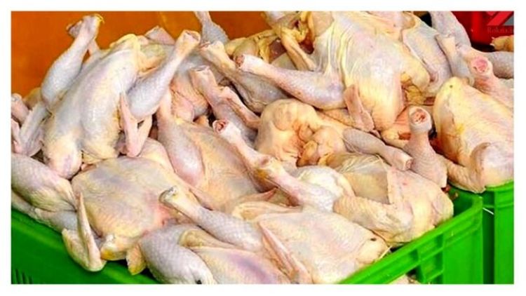 گوشت مرغ در میادین تره بار 18 درصد ارزان‌تر عرضه می‌شود
