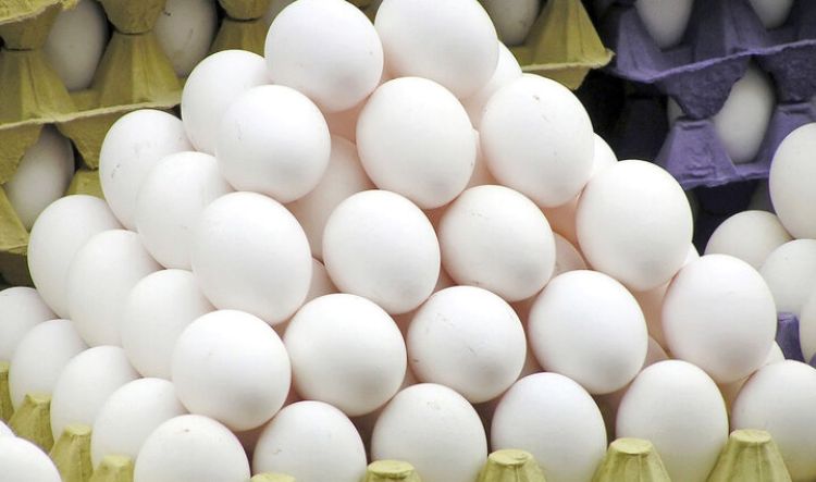 صعود قیمت تخم‌مرغ به 50 هزار تومان در کمتر از یک ماه