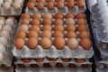 قیمت هر کیلو تخم مرغ پوسته قهوه‌ای 50 هزار تومان اعلام شد