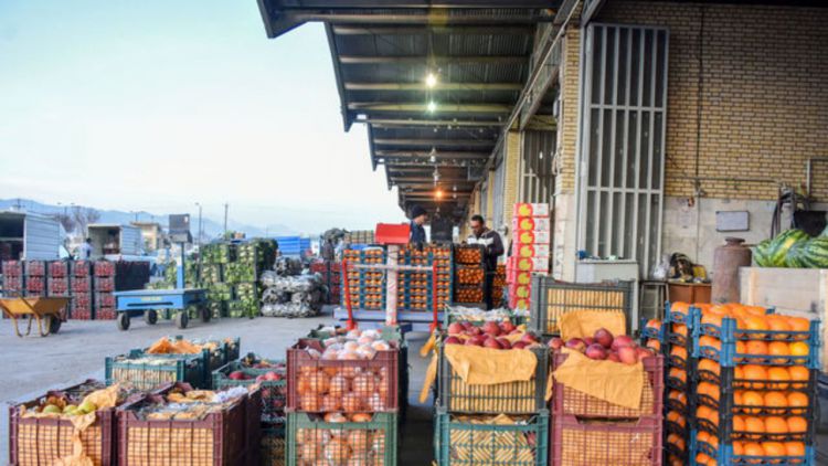 علت اصلی گرانی میوه چیست؟/ رئیس اتحادیه میوه و سبزی تهران: افزایش قیمت میوه ارتباطی به صادرات ندارد