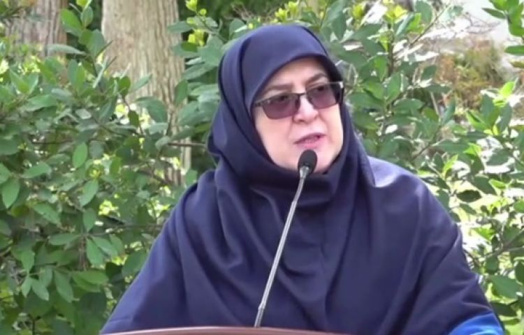 مهاجرانی: برای دولت نمی‌ارزد که خودش سکه و دلار را گران کند