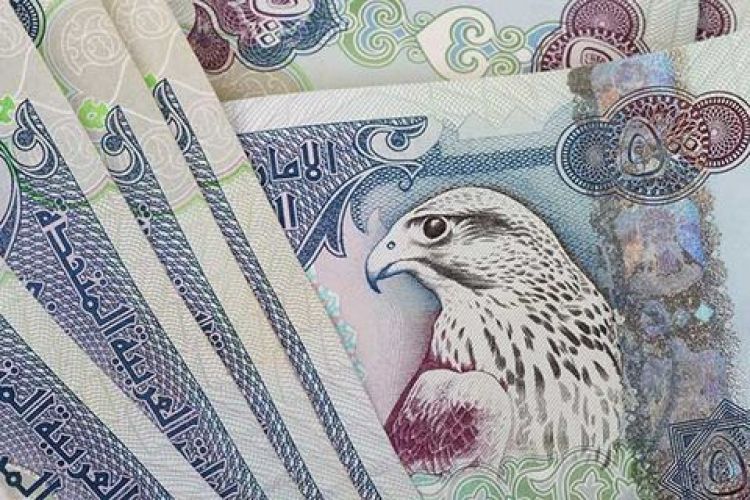 پرداخت یارانه 1000 دلاری به اماراتی‌ها در سال 2017 میلادی