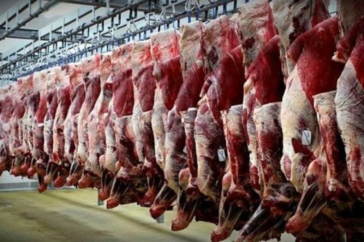 توزیع گوشت وارداتی با ارز نیمایی از اردیبهشت/ دام زنده 33 هزار تومان شد