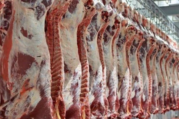 نرخ گوشت گوسفندی کیلویی 100.000 تومان ثابت ماند