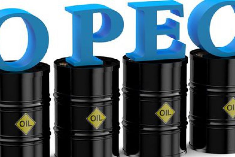 سهم اوپک در بازار جهانی نفت کاهش یافت