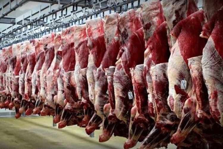 کاهش 20 هزارتومانی گوشت گوسفندی/ احتمال ارزانترشدن هم وجود دارد