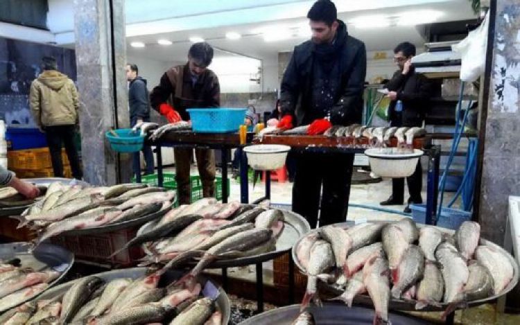 نیم کیلو ماهی 189 هزار تومان/‌ تازه‌ترین قیمت انواع ماهی در بازار تهران