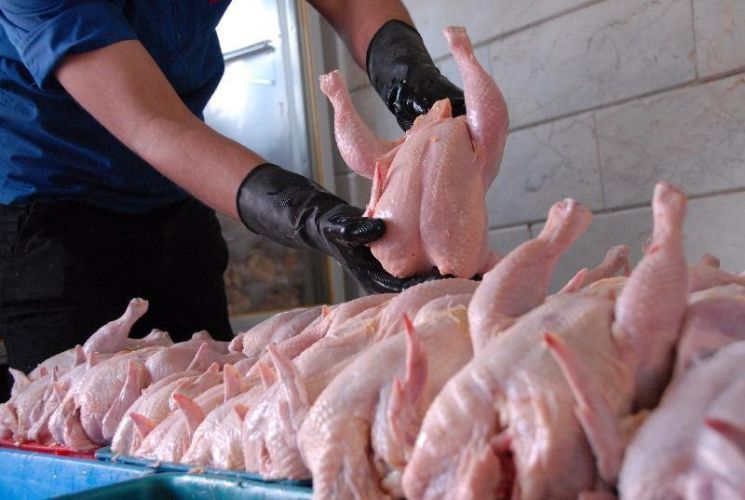   افزایش قیمت مرغ در بازار؛ هر کیلو 33 هزارتومان!