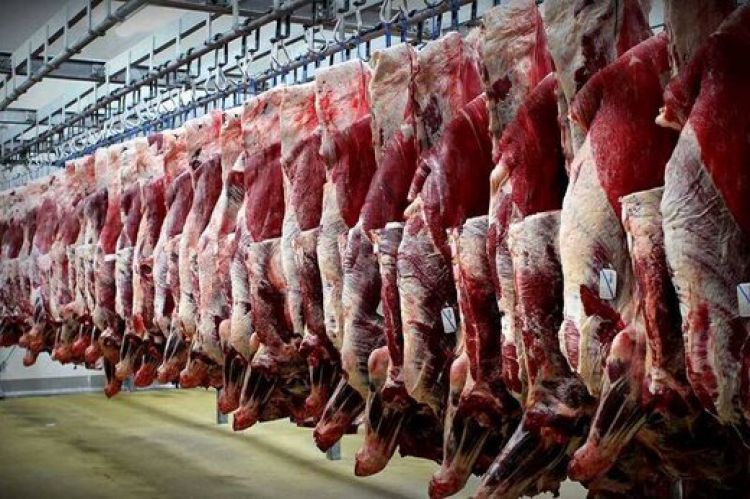 جدیدترین تغییرات قیمت گوشت در میادین/ ماهیچه گوساله چند؟ + جدول