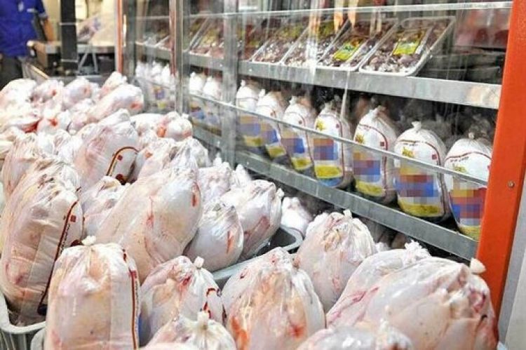 کمبود مرغ در تهران طی روزهای آتی برطرف خواهد شد