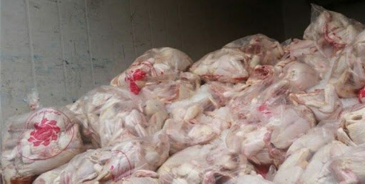 توزیع مرغ منجمد با قیمت 15 هزار و 500 تومان در بازار