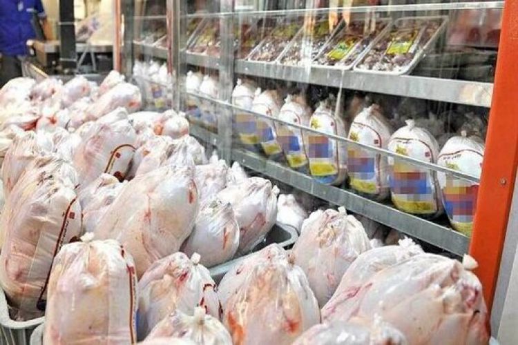 فروش مجدد مرغ قطعه بندی از امروز /  توزیع گسترده مرغ با نرخ مصوب