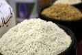 واردات در فصل برداشت قیمت برنج را کاهش می‌دهد؟