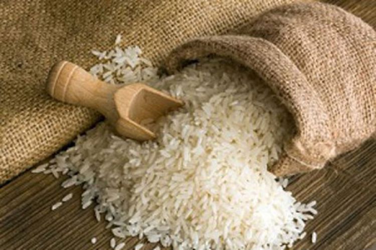 تایید رسمی دولت از گرانی 68 درصدی برنج/ برنج حکم طلا گرفت
