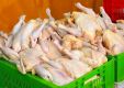 صادرات 15 درصد مرغ گوشتی اصفهان به کشورهای همسایه