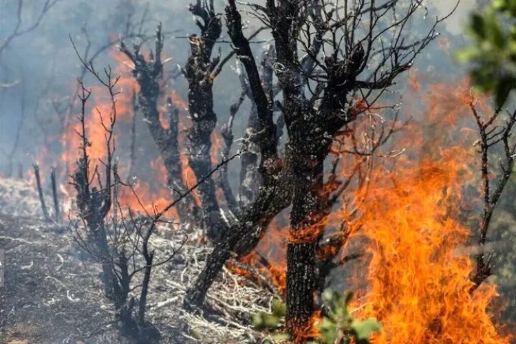 اعزام هواپیماهای ترکیهای برای خاموش کردن آتش جنگل الیت اعزام هواپیماهای ترکیهای برای خاموش کردن آتش جنگل الیت