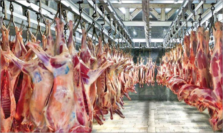  قیمت انواع گوشت در خرده فروشی‌ها / شقه گوسفندی کیلویی 152 هزار تومان