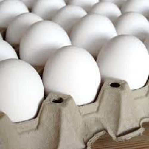 قیمت هر شانه تخم مرغ به بیش از 55 هزار تومان رسید
