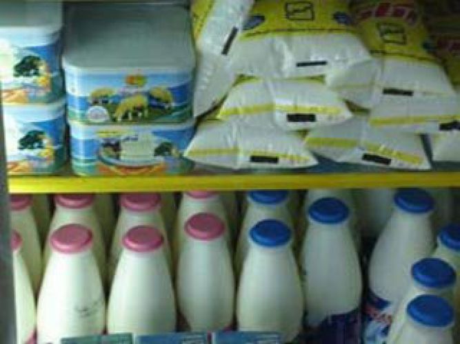 بلاتکلیفی در قیمت گذاری شیرخام ولبنیات، شرکت های لبنی را به ورشکستگی کشانده