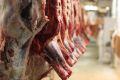 کمبود عرضه ،صادرات و قاچاق دام علت افزایش قیمت گوشت قرمز 