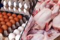 آخرین وضعیت بازار مرغ و تخم مرغ | هر کیلو مرغ و یک شانه تخم مرغ چند شد؟