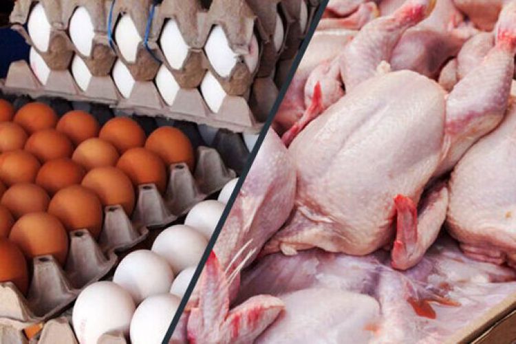 جدیدترین قیمت مرغ و تخم‌مرغ در میادین / هر شانه 30 عددی و هر کیلو مرغ چند؟