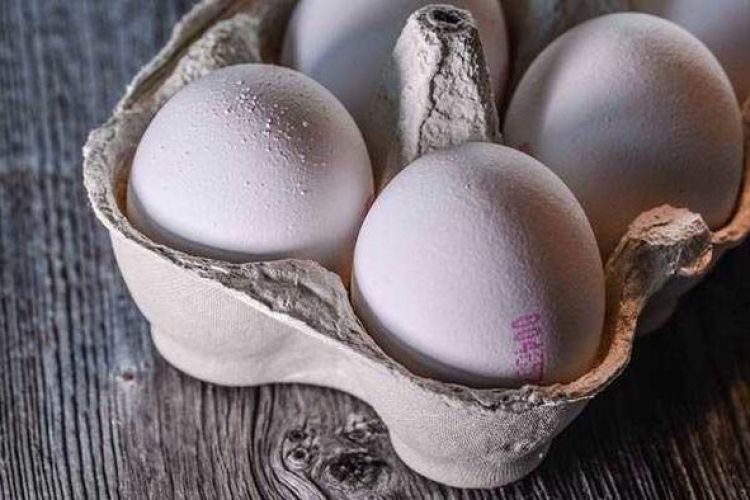 کاهش قیمت تخم مرغ طی یک ماه گذشته  