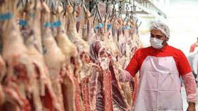 گوشت گوسفند باز هم گران شد/ بزودی فروش اینترنتی راه اندازی می‌شود