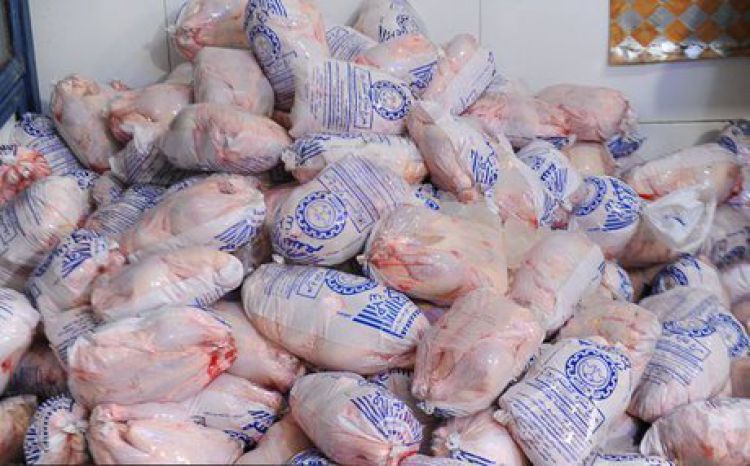 توافق برای ترانزیت و ترخیص مرغ‌های وارداتی  