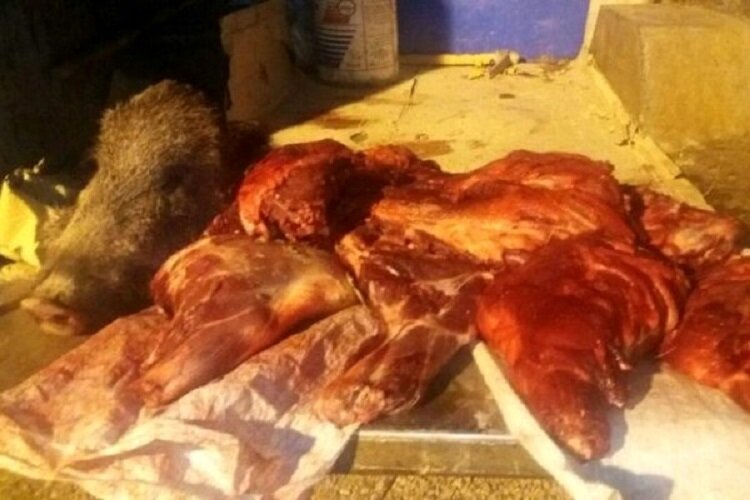 عرضه گوشت خوک در یک رستوران شهر گردشگرپذیر رامسر / رستوران کته کبابی پلمپ شد