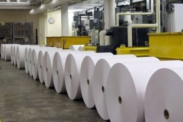  تولید کاغذ داخلی توجیه اقتصادی ندارد/مصرف 335 هزار تن کاغذ در سال