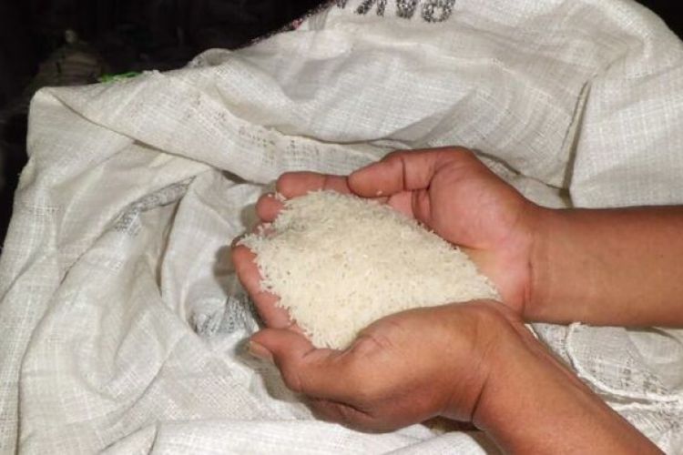 چرا واردکنندگان برنج باید مابه‌التفاوت بدهند؟
