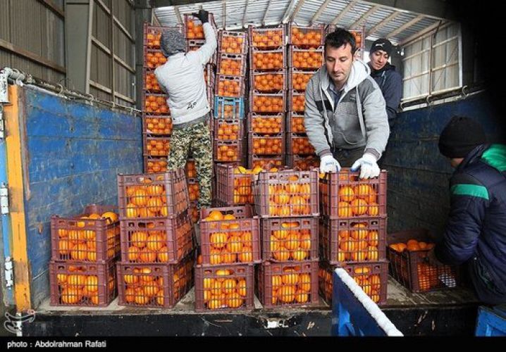  فروش میوه شب عید با 15 درصد تخفیف/ دولت امسال در ذخیره سازی میوه ورود نمی‌کند