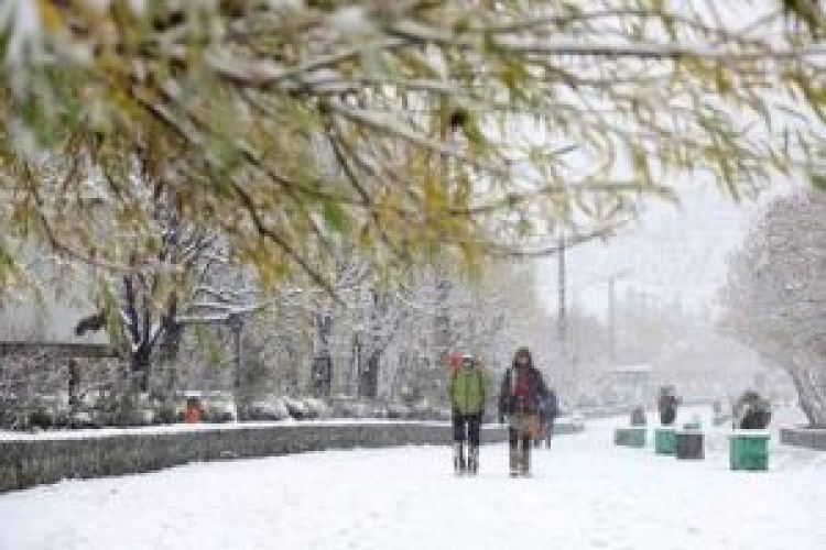 مردم این 8 شهر منتظر بارش برف باشند/ پیش‌بینی اولین برف پاییزی ایران در 5 روز آینده