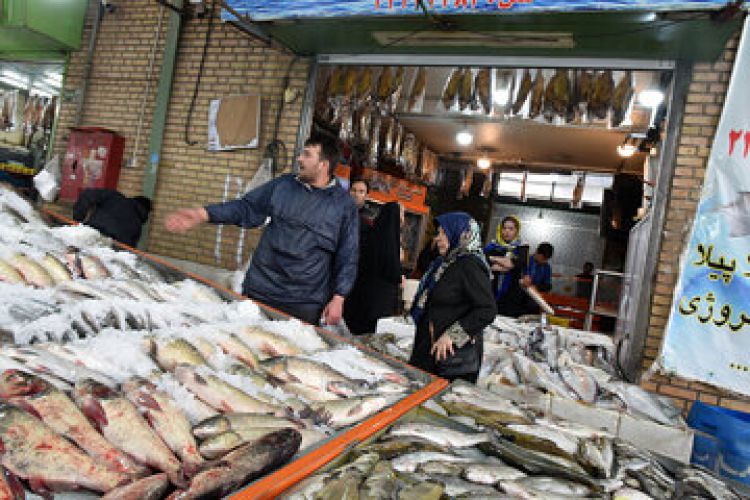 مصرف ماهی 50 درصد کاهش پیدا کرد/ نرخ برخی از ماهی‌های صیدی به 800 هزار تومان رسید