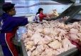 این 3 عامل متهمان اصلی گرانی و کمبود مرغ در بازار