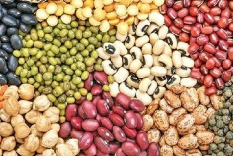 روایت تازه از بازار حبوبات؛ آیا موج گرانی در راه است؟
