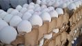 نزول قیمت تخم مرغ نسبت به هفته گذشته