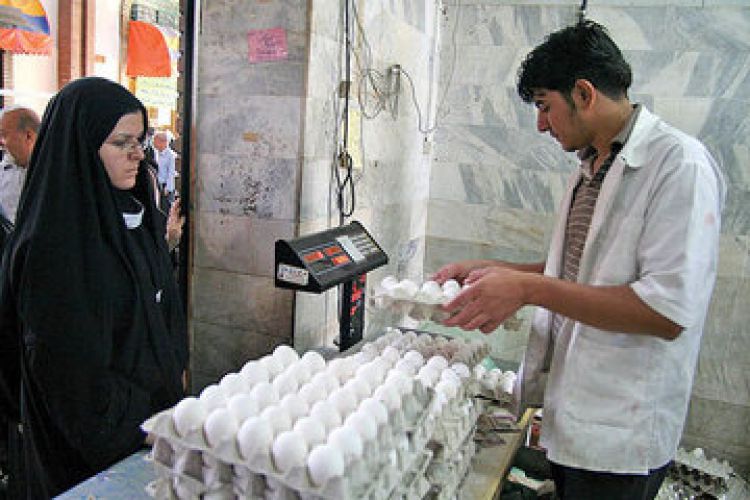 تخم مرغ 30 تایی موجود نیست / رشد 50 درصدی قیمت تخم مرغ