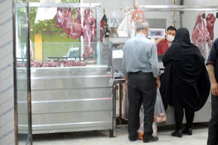  ممکن است گوشت کمی ارزان شود