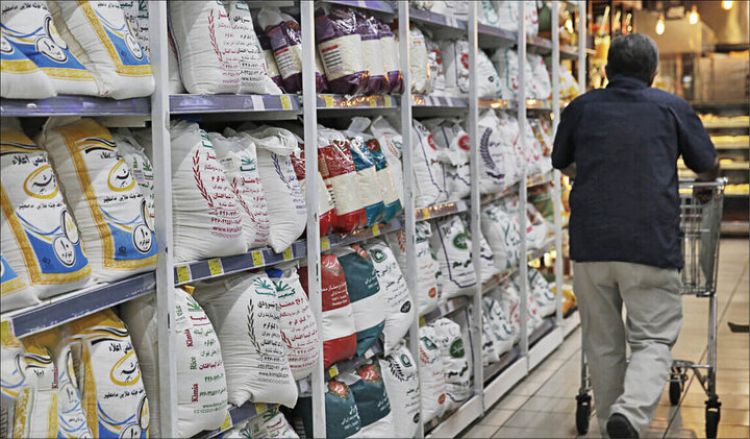 جزییات عرضه ارزان برنج ایرانی/ کاهش 20 تا 30درصدی قیمت با طرح جدید